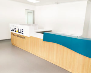 Linea-Institucional-3