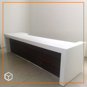 Recepción-Institucional-Diaquin-8
